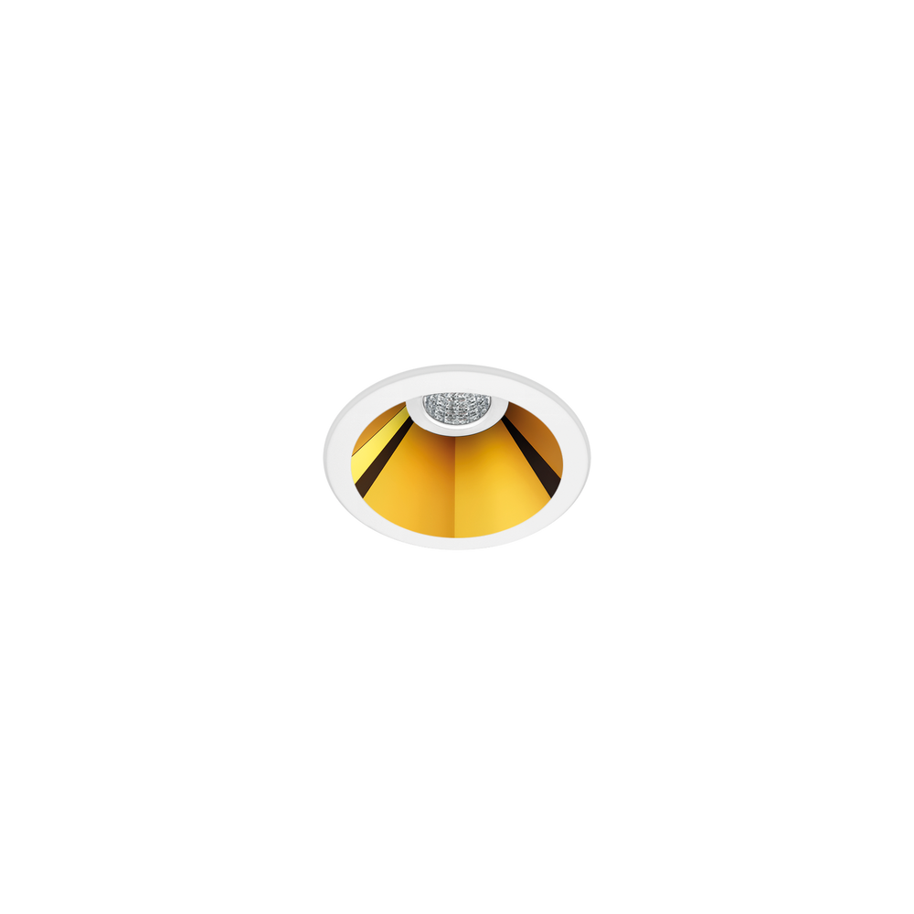 Arkoslight - Shot